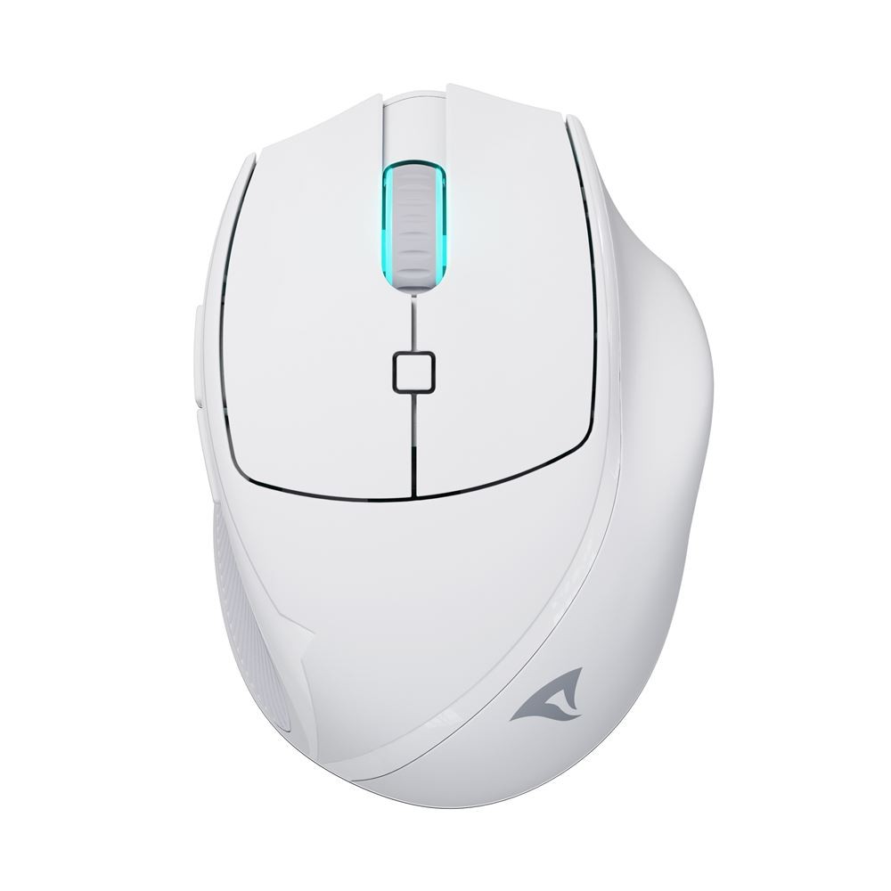 Mouse Sharkoon OfficePal M25W mouse Gaming Mano destra RF Wireless + USB Type-C Ottico 4000 DPI - Immagine 1