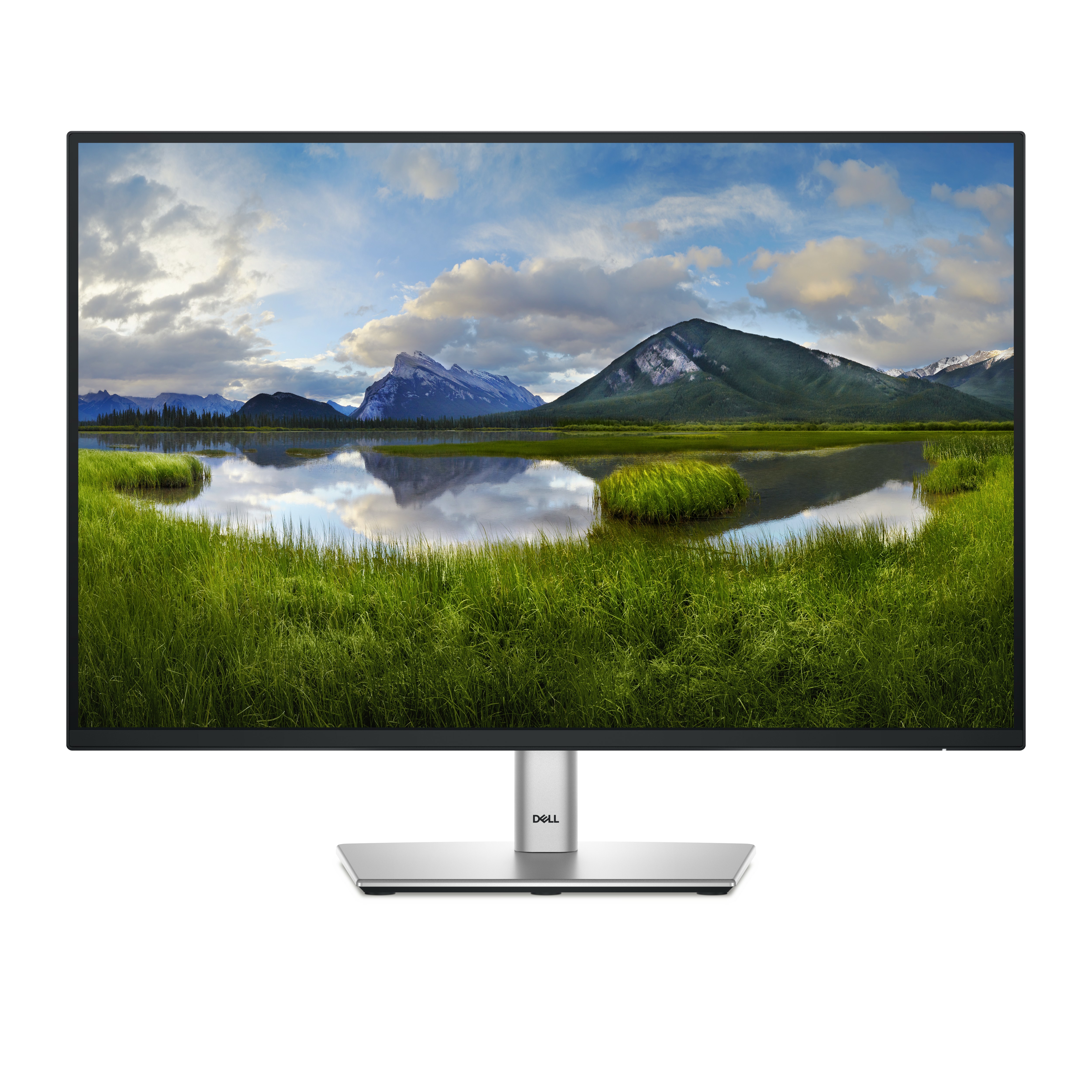 Monitor Dell P2425 24'' WUXGA IPS USB-C 100Hz Grigio Metallico - Immagine 1