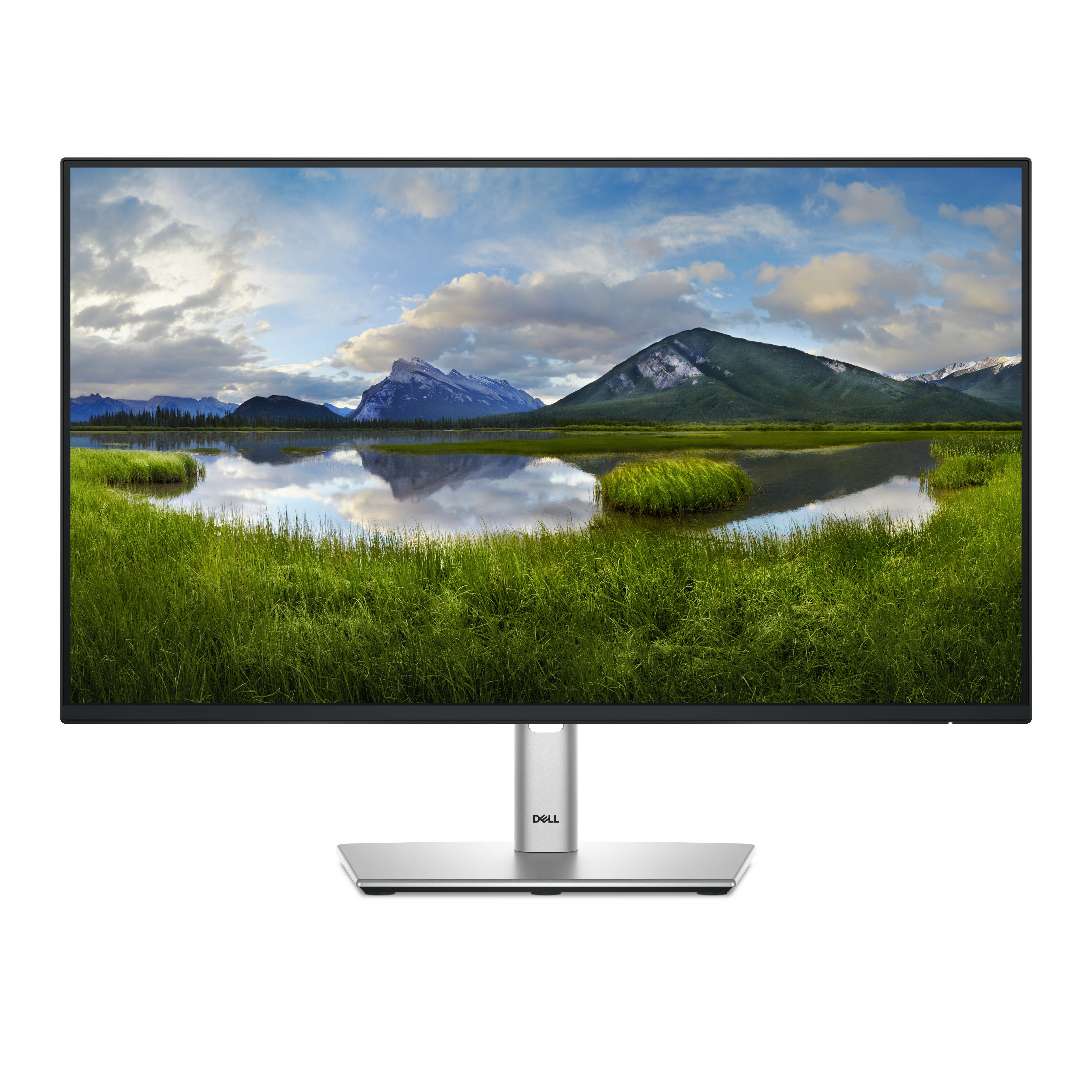 Monitor Dell P2425H 24'' FullHD IPS USB-C 100Hz Grigio Metallico - Immagine 1