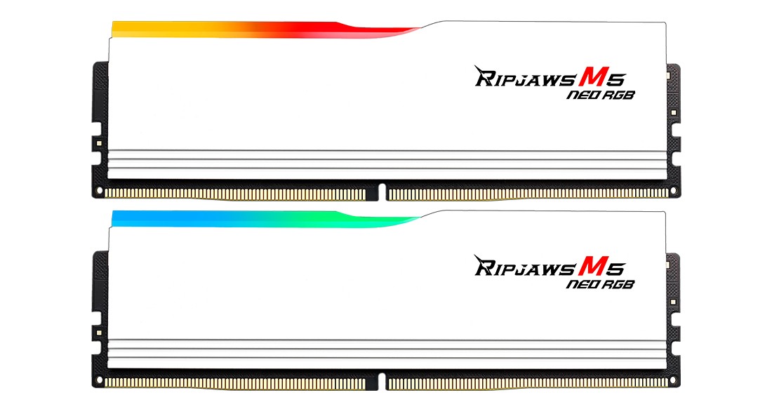 Ram G.Skill Ripjaws M5 NEO DDR5 6000Mhz 64GB (2x32GB) RGB CL28 Bianco EXPO - Immagine 1