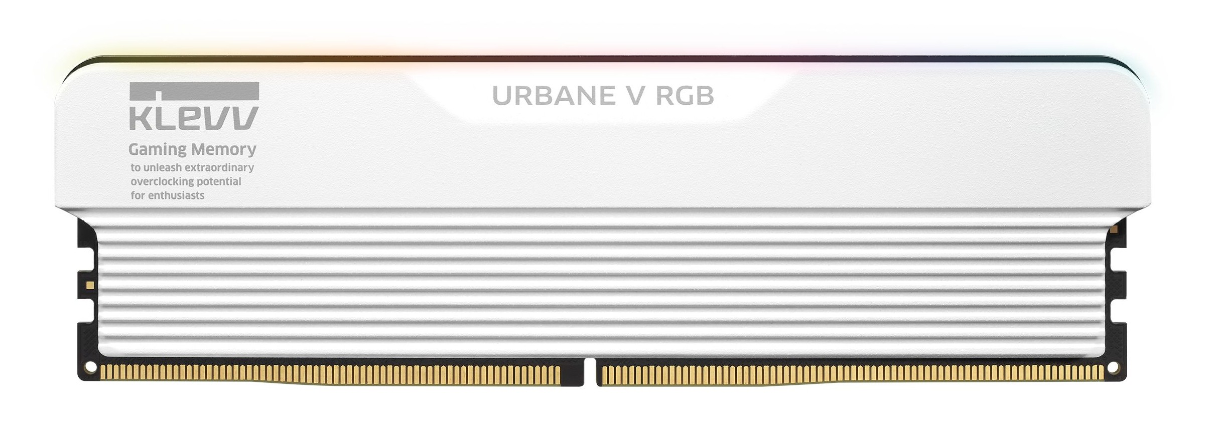 Ram Klevv URBANE V DDR5 48Gb (2x24) 6000Mhz RGB CL30 XMP/EXPO Bianco