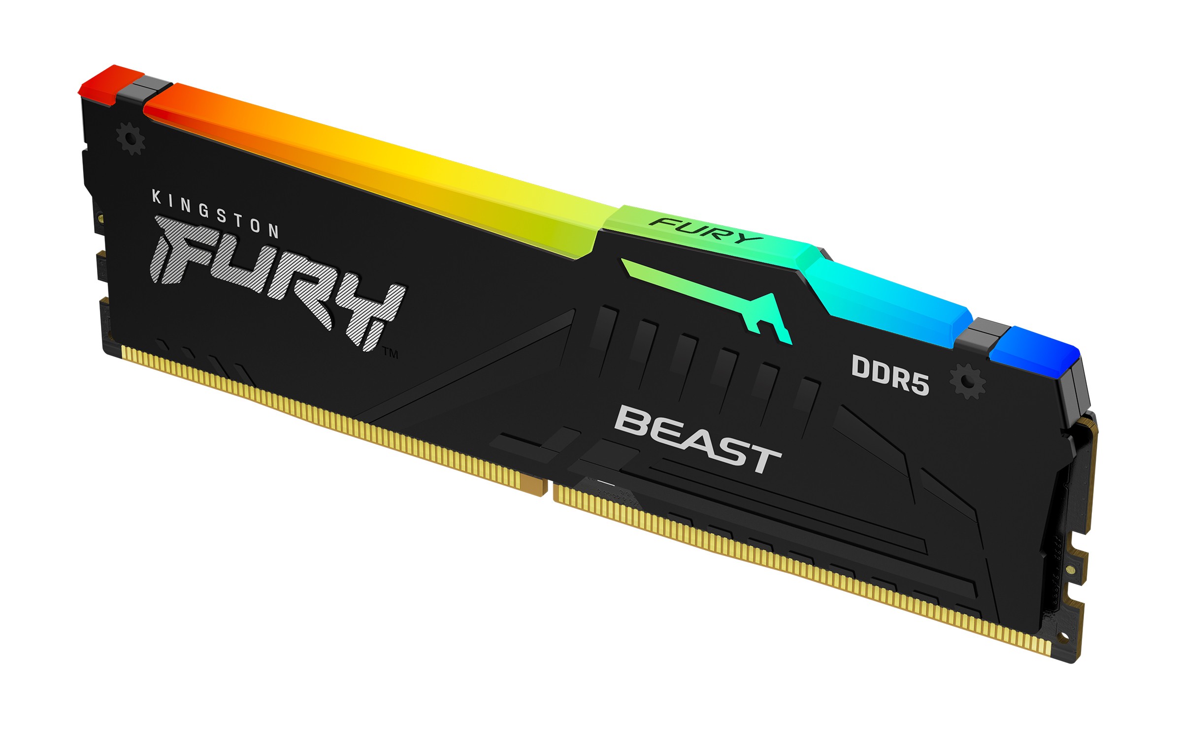 Ram KINGSTON FURY BEAST DDR5 5600MHz 16GB (1x16) RGB EXPO XMP 3.0 CL36 NERO - Immagine 1