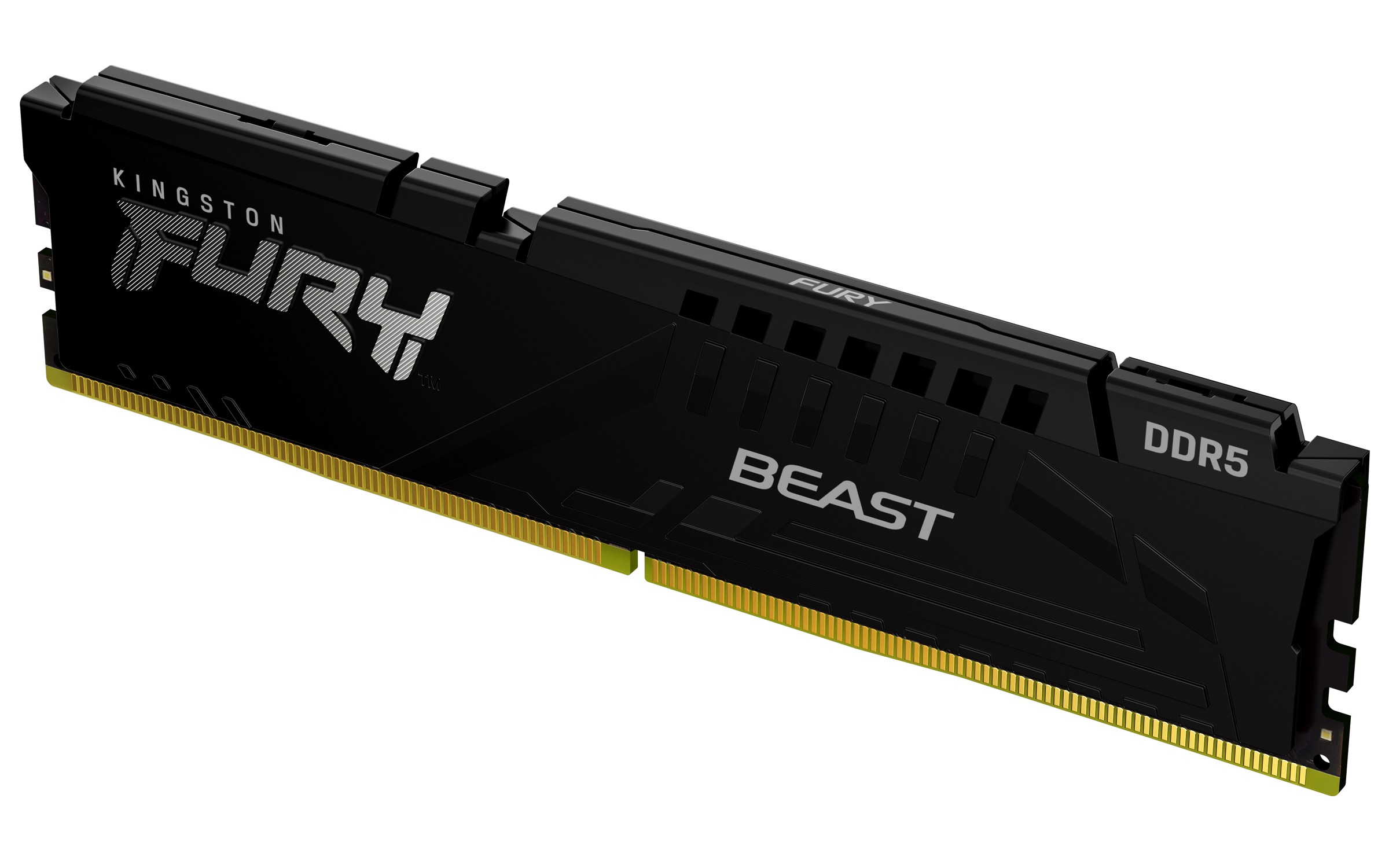 Ram Kingston Fury Beast DDR5 6000Mhz (1x16) 16GB nero xmp expo CL30
