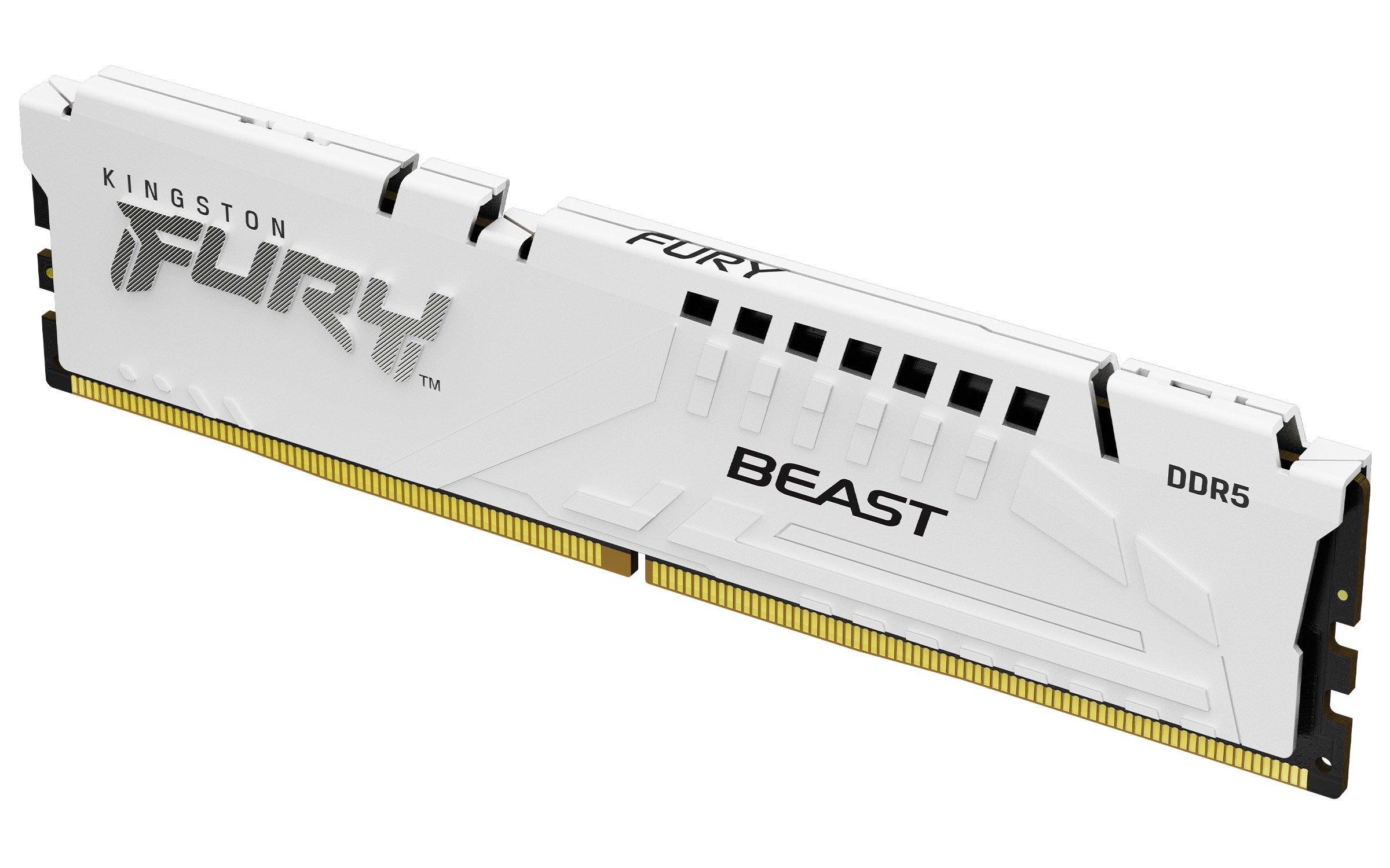 Ram Kingston Fury Beast DDR5 6000Mhz (1x16) 16GB nero xmp expo CL36 - Immagine 1