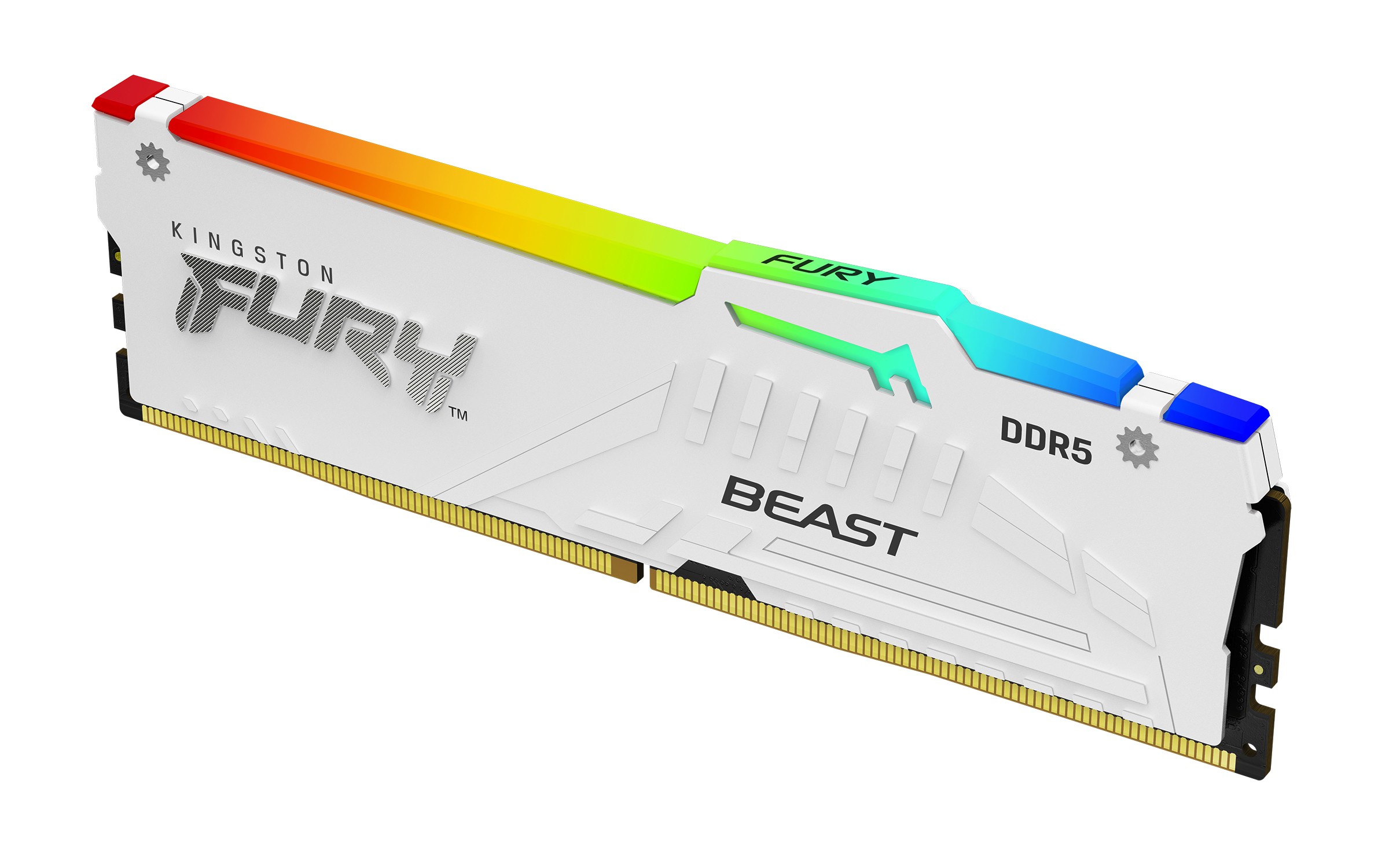 Ram KINGSTON FURY BEAST DDR5 6000MHz 32GB (1x32) RGB EXPO CL36 BAINCO - Immagine 1