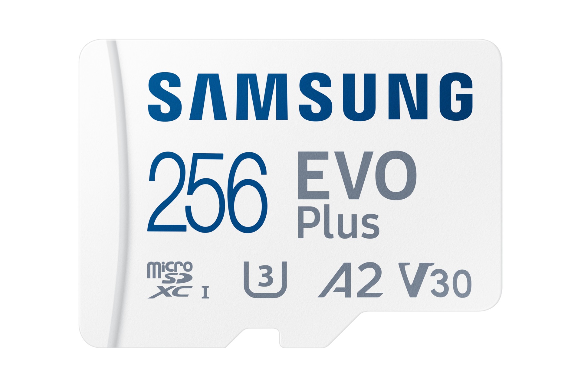 MICRO SDXC SAMSUNG EVO Plus 256 GB (2024) - Immagine 1