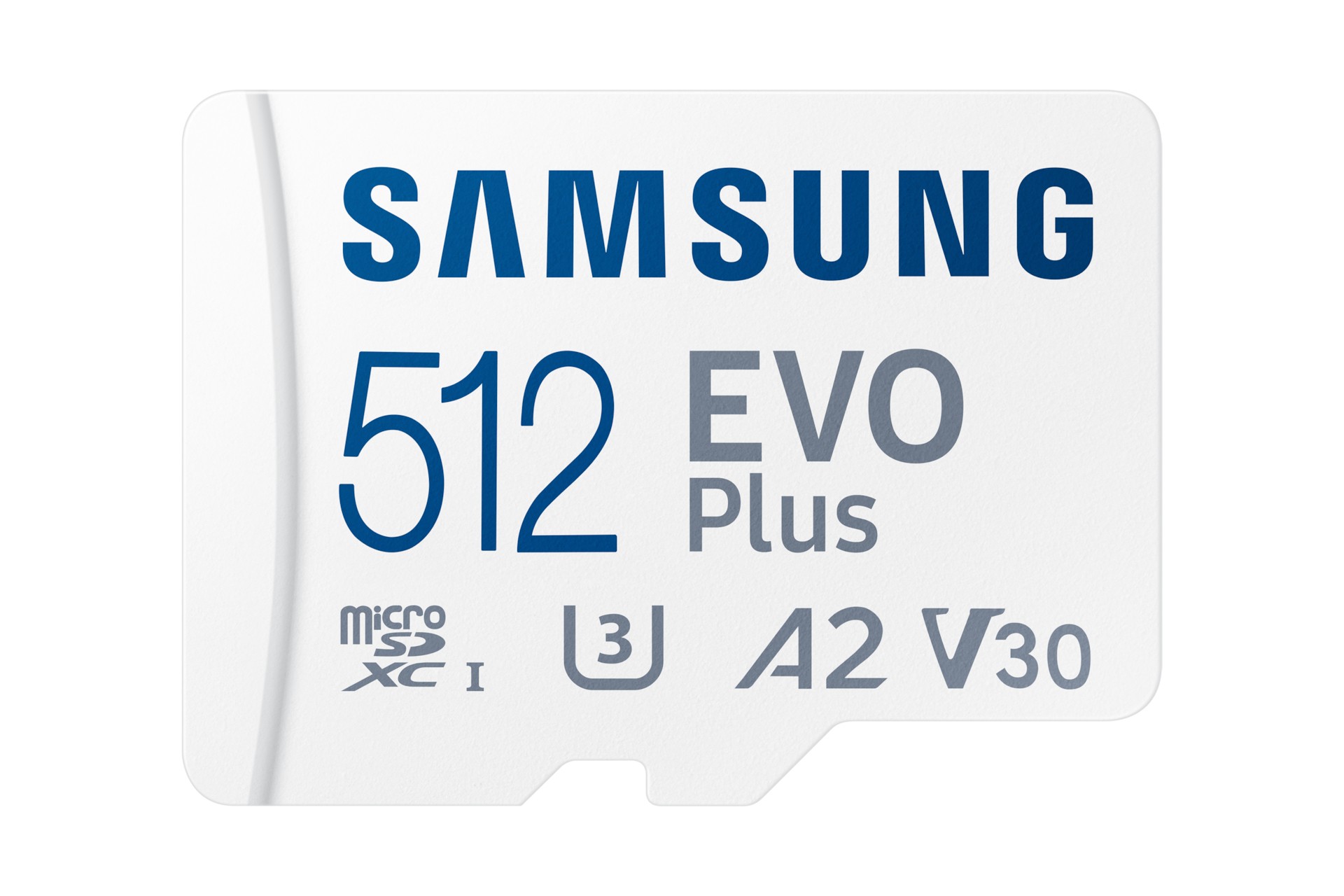 MICRO SDXC SAMSUNG EVO Plus 512 GB (2024) - Immagine 1