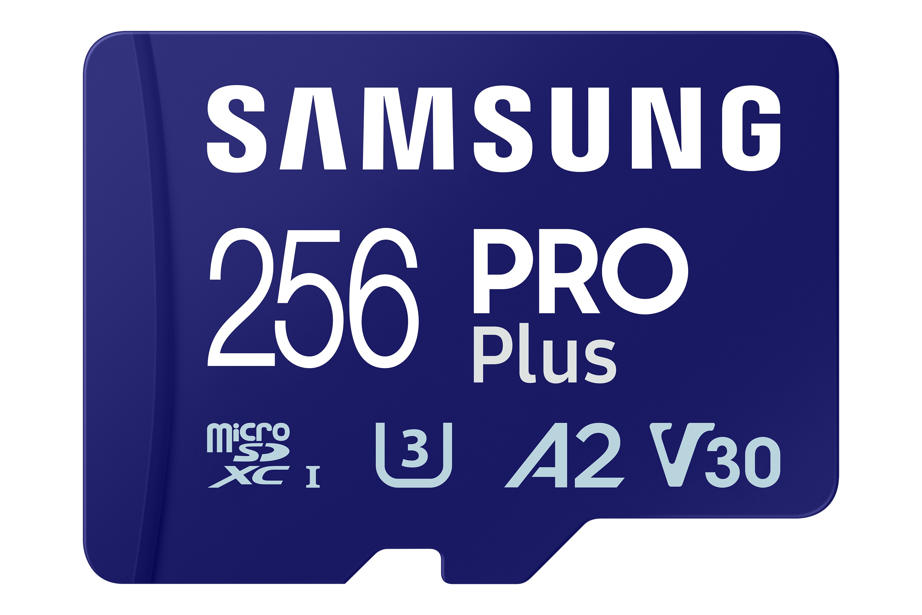 MICRO SDXC SAMSUNG PRO Plus 256 GB (2023) - Immagine 1