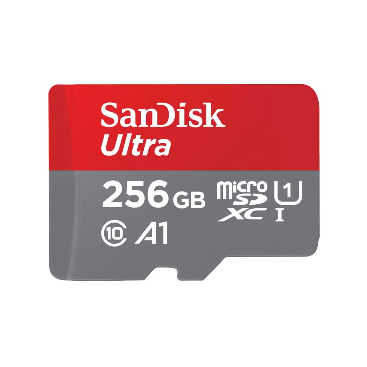 MICRO SDXC SANDISK Ultra 256 GB - Immagine 1