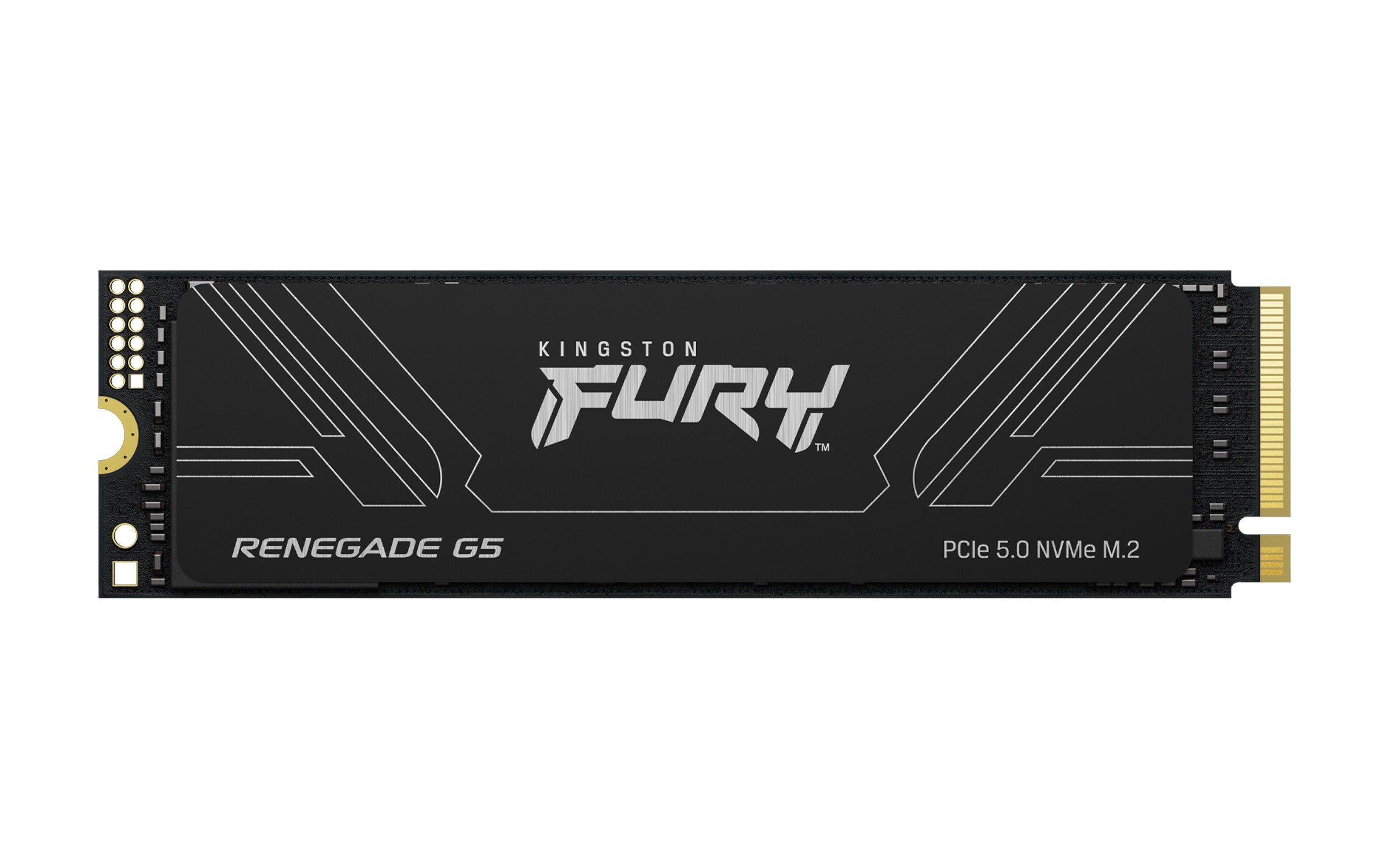 SSD Kingston Technology 4T FURY RENEGADE G5 M.2 2280 NVMe - Immagine 1
